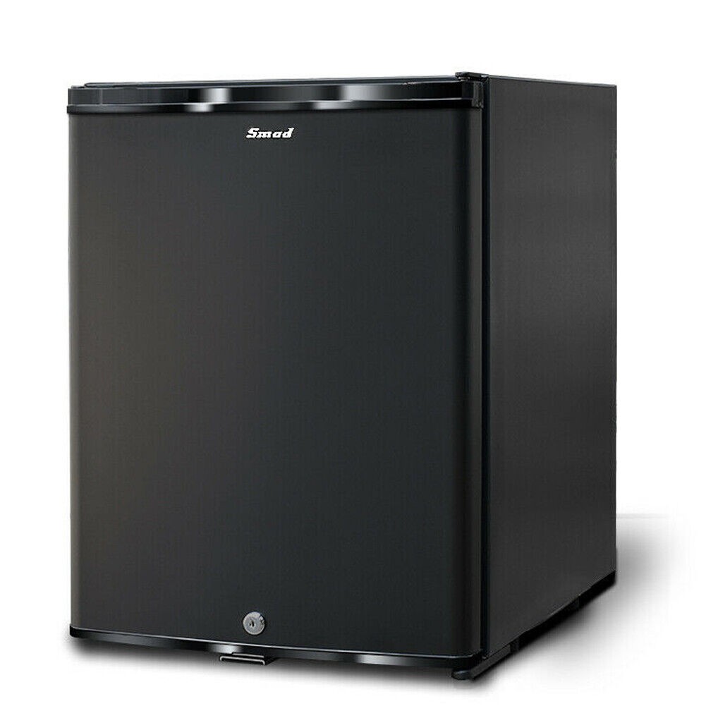 Smad 110V/12V Fridge 2 Way Absorption Fridge Camper Van Camping RV Mini Cooler