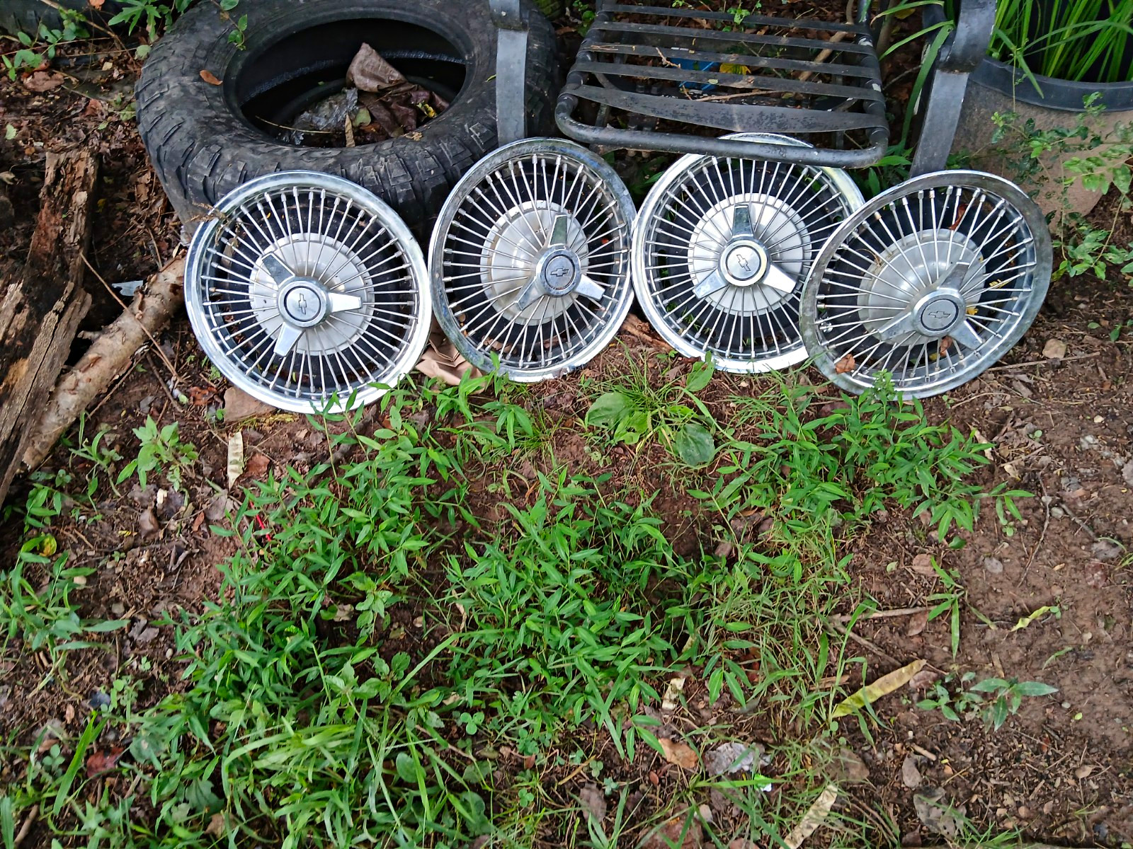 14 Chevy Vintage Chevrolet  Spoke Hubcap Good Condition $175.00