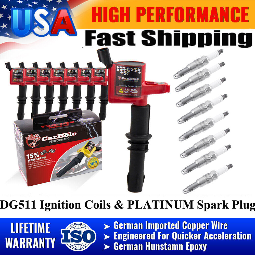 8 Pack Ignition Coils and Spark Plugs For Ford F-150 4.6/5.4L V8 2004-2010 DG511