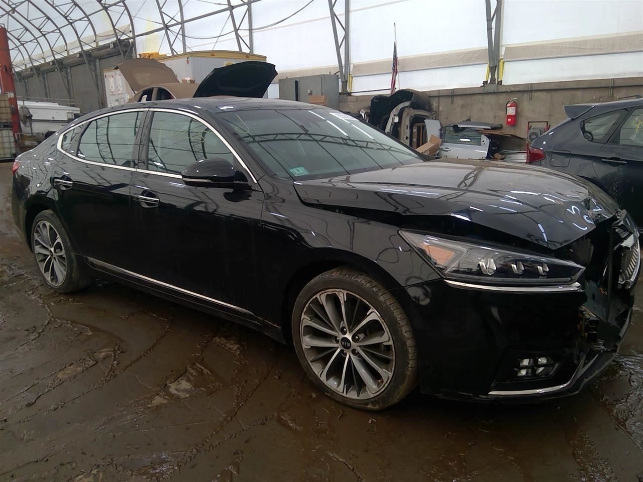 Passenger Corner/Park Light Fog-driving LED Fits 17-19 CADENZA 6993607