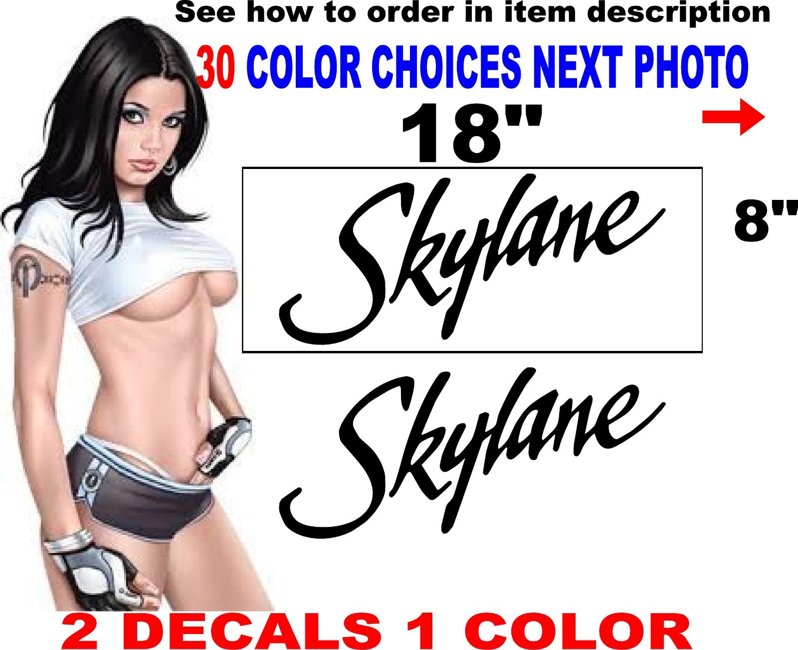 Cessna 182 Skylane Aircraft Decals  30 color options