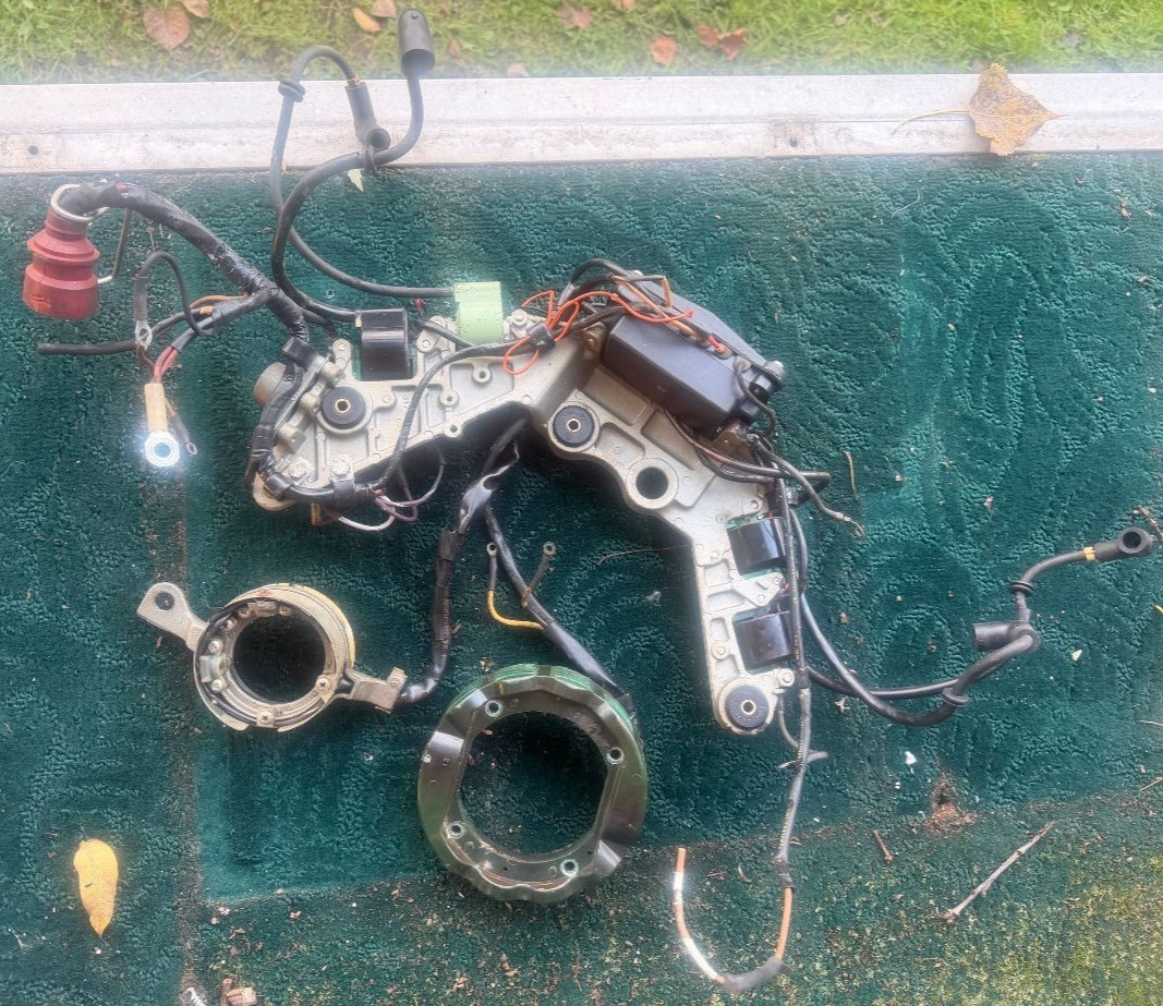 TESTED 1977 85 HP Johnson Evinrude V4 Stator, coil assembly with Power Cable TESTED 1977 85 HP Johnson Evinrude V4 Stator, coil assembly with Power Cable