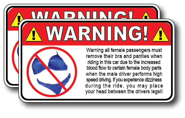 2pk Funny Warning Decal Sticker NO BRA & PAINTIES Vinyl Graphic 3M Trunk Car