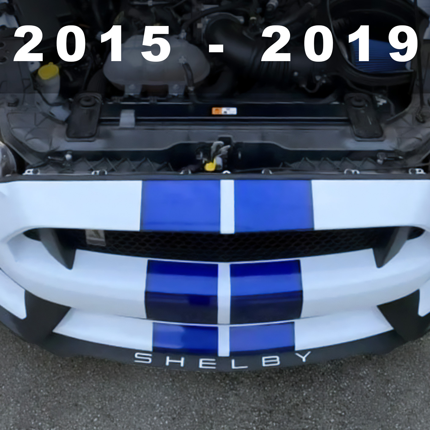 WHITE Front Splitter PLASTIC LETTERS Fits Shelby GT350 2015 - 2019 NOT VINYL