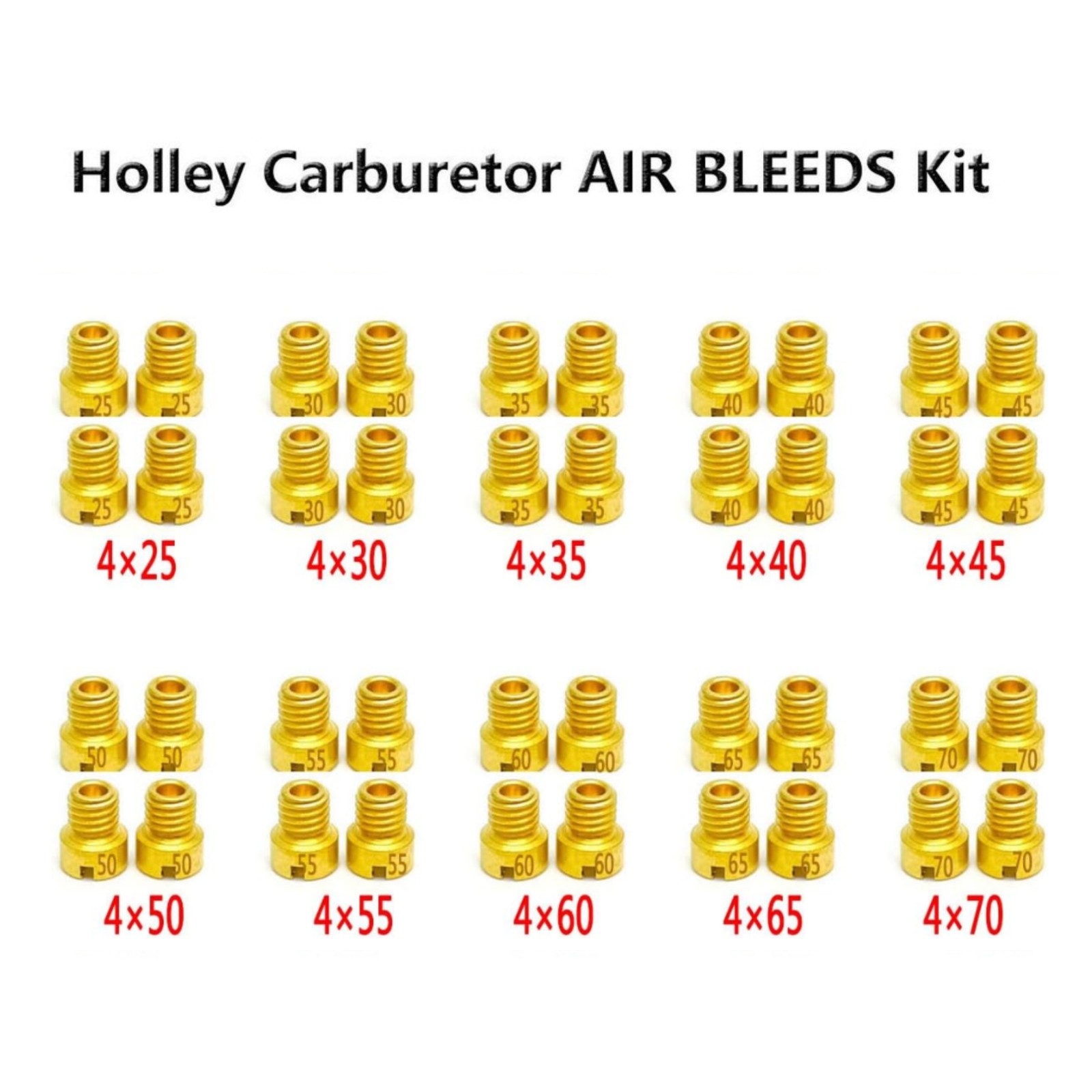 40 PACK For Holley Carburetor AIR BLEEDS Assortment Kit (10-32).025 in.-.070 in. 40 PACK For Holley Carburetor AIR BLEEDS Assortment Kit (10-32).025 in.-.070 in.