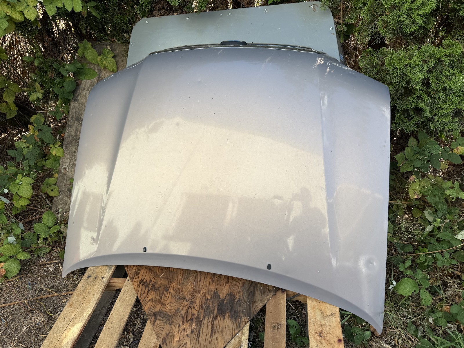2000-2006 TOYOTA TUNDRA HOOD PANEL GRAY ASSEMBLY OEM minor Dents