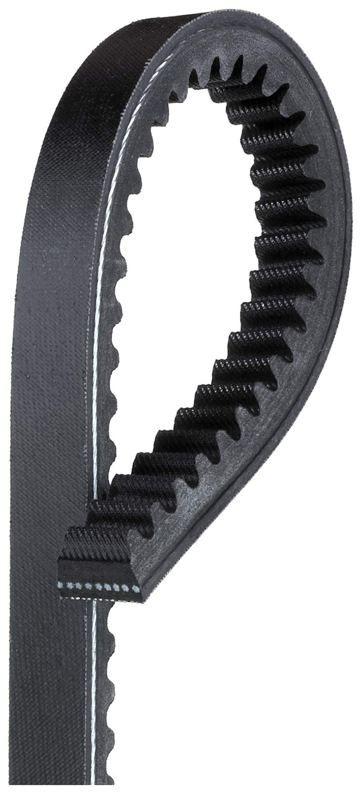 Gates TR28445 Green Stripe Heavy Duty Truck Bus Accessory Drive V-Belt