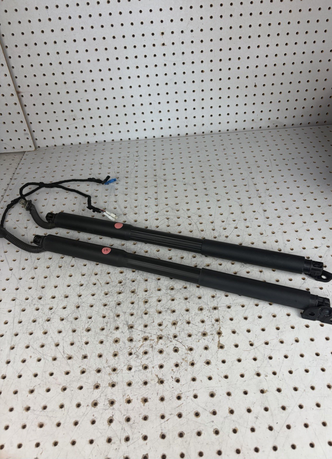 12-19 BMW 3 Series F31 Rear Left & Right Trunk Tailgate Shock Strut Support OEM