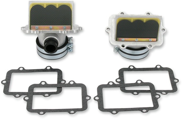 Boyesen Rage Cage Reed System #RAD-81A-2 Ski-Doo