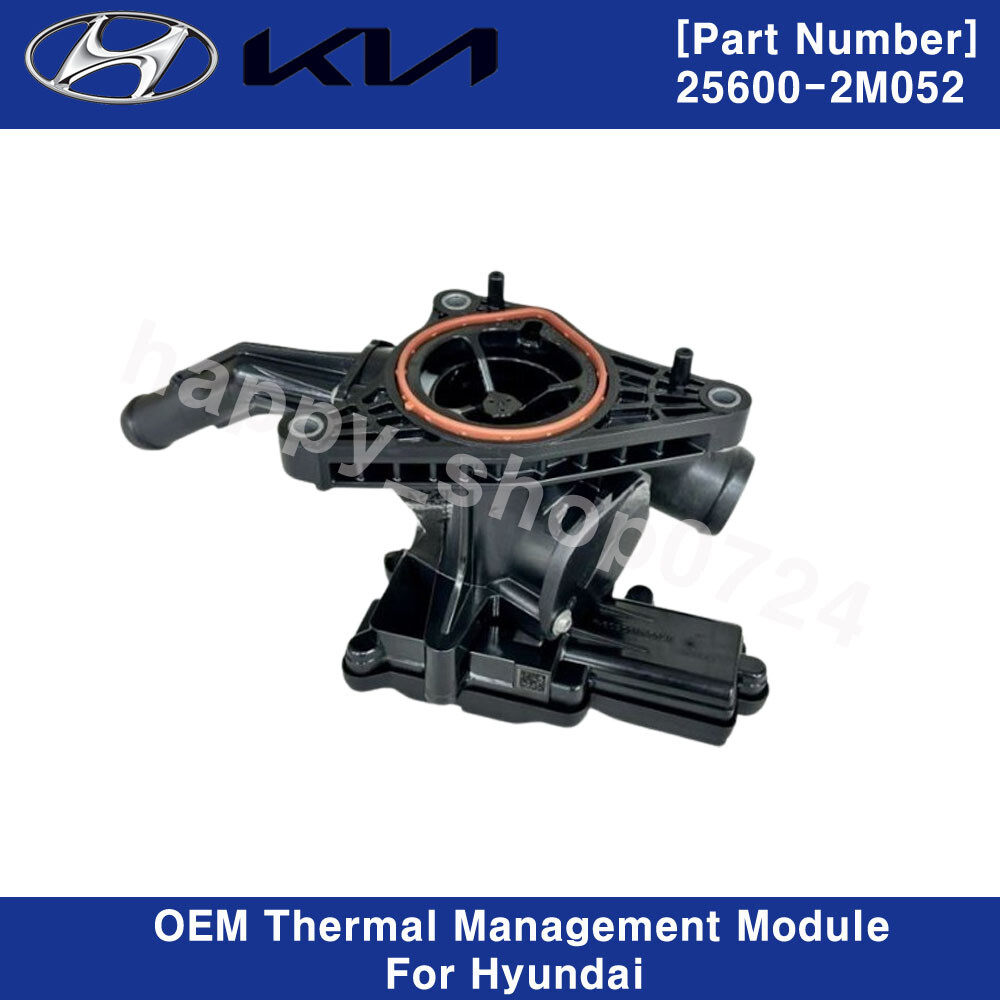 Genuine 256002M052 Thermal Management Module for Hyundai Accent Venue Elantra