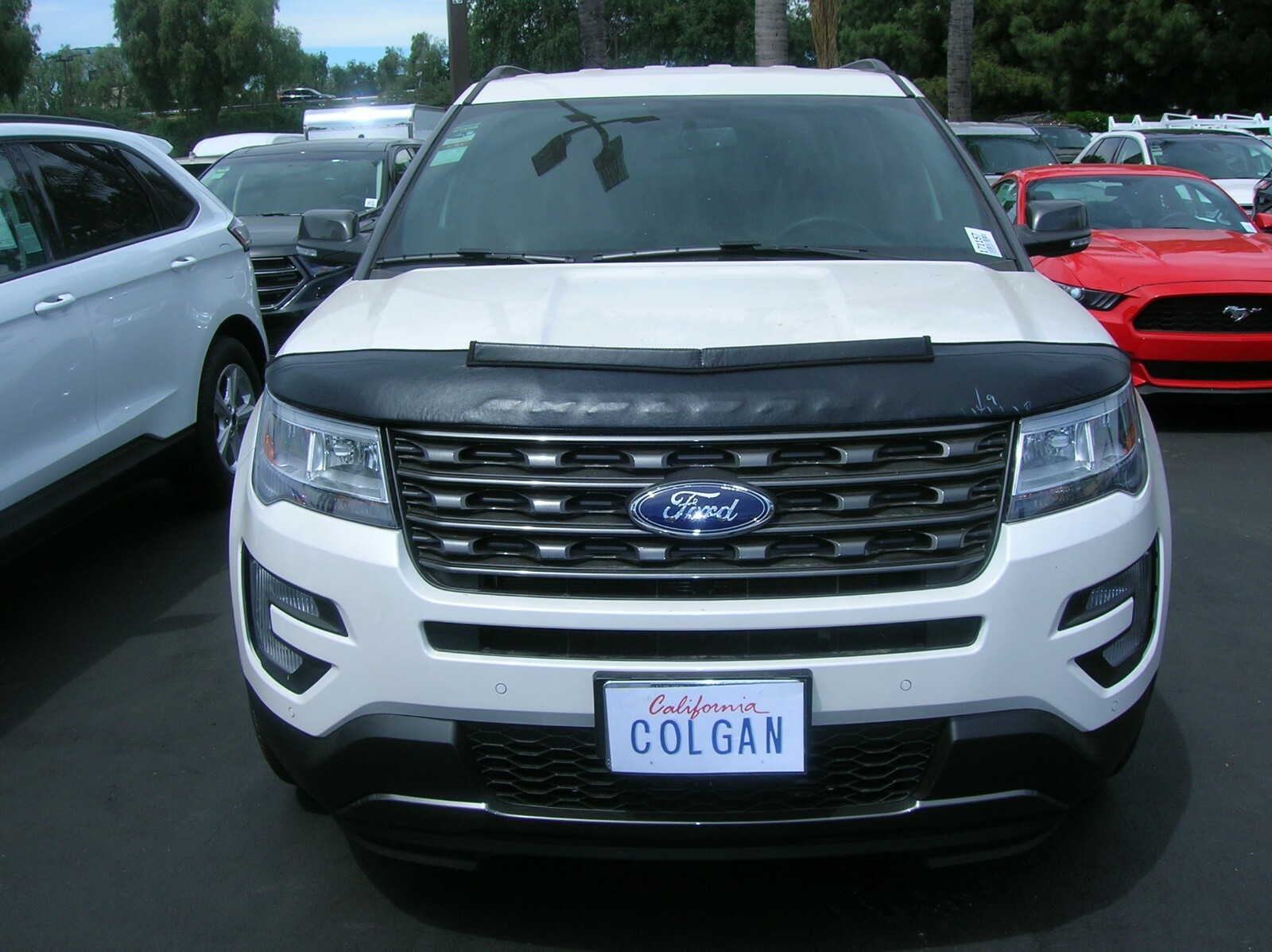 Colgan Sport Hood Bra Mask Fits 2016-2019 Ford Explorer, XLT, Limited, Sport