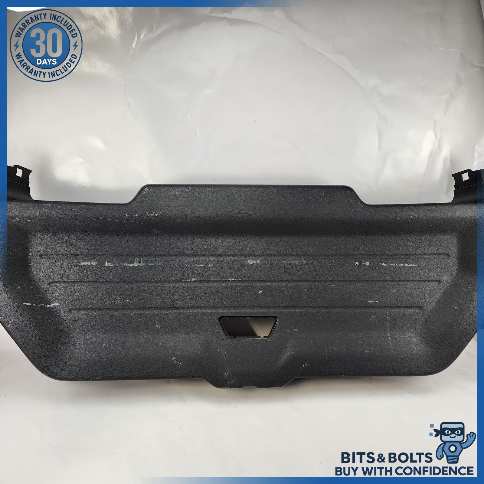 2009-2019 Ford Flex OEM Tailgate Liftgate Back Door Lower Trim Cover Panel