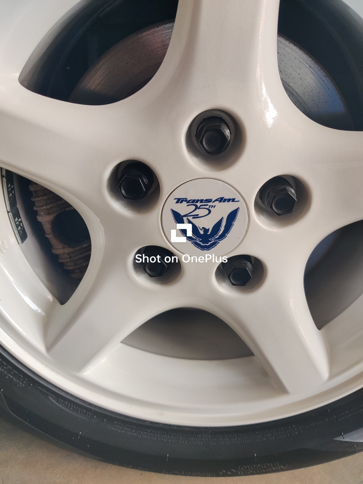 25th Anniversary Trans Am Centercap Decal Set