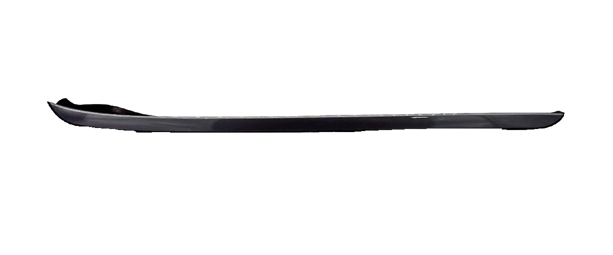 2011-2017 BMW X3 F25 LEFT DRIVER SIDE ROOF RAIL MOLDING TRIM OEM