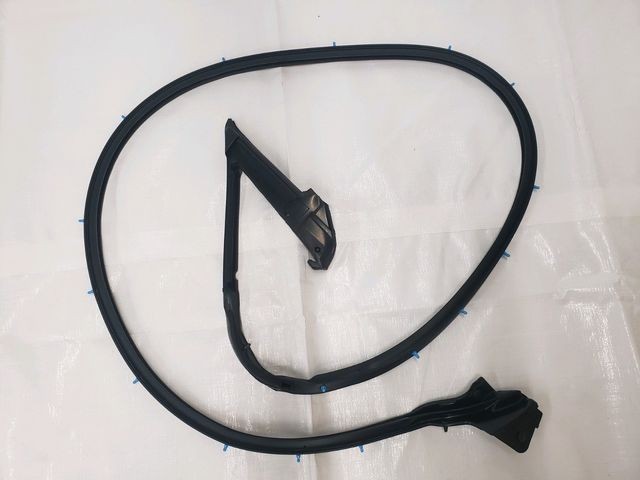 Genuine Nissan R34 GTR GTT 2 Door LH Door Weatherstrip 80831-AA102 NEW OEM