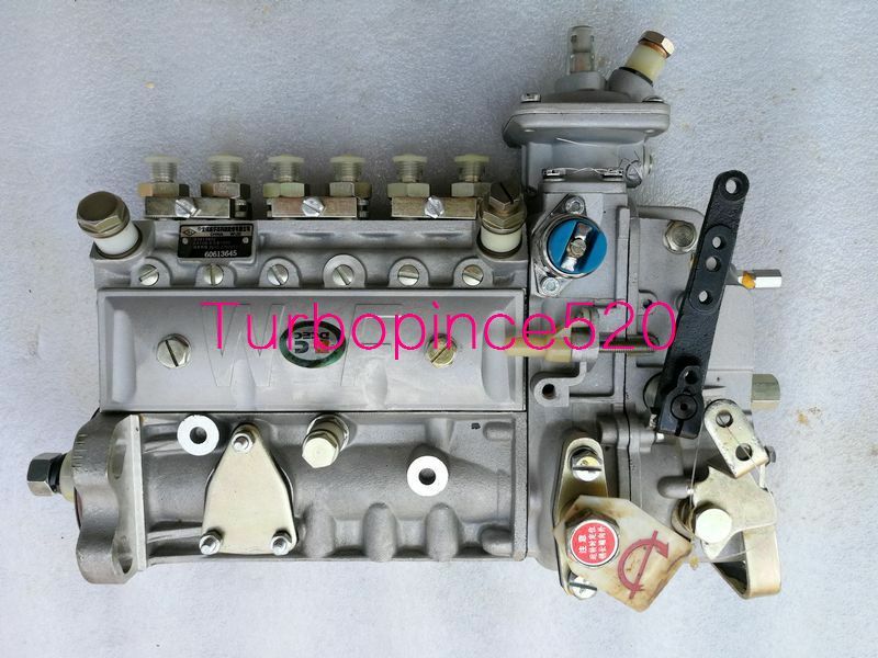 NEW WEIFU PC200-6 PC200-7 Cummins 6BT 5.9L 160HP INJECTION PUMP 3913902 4996844