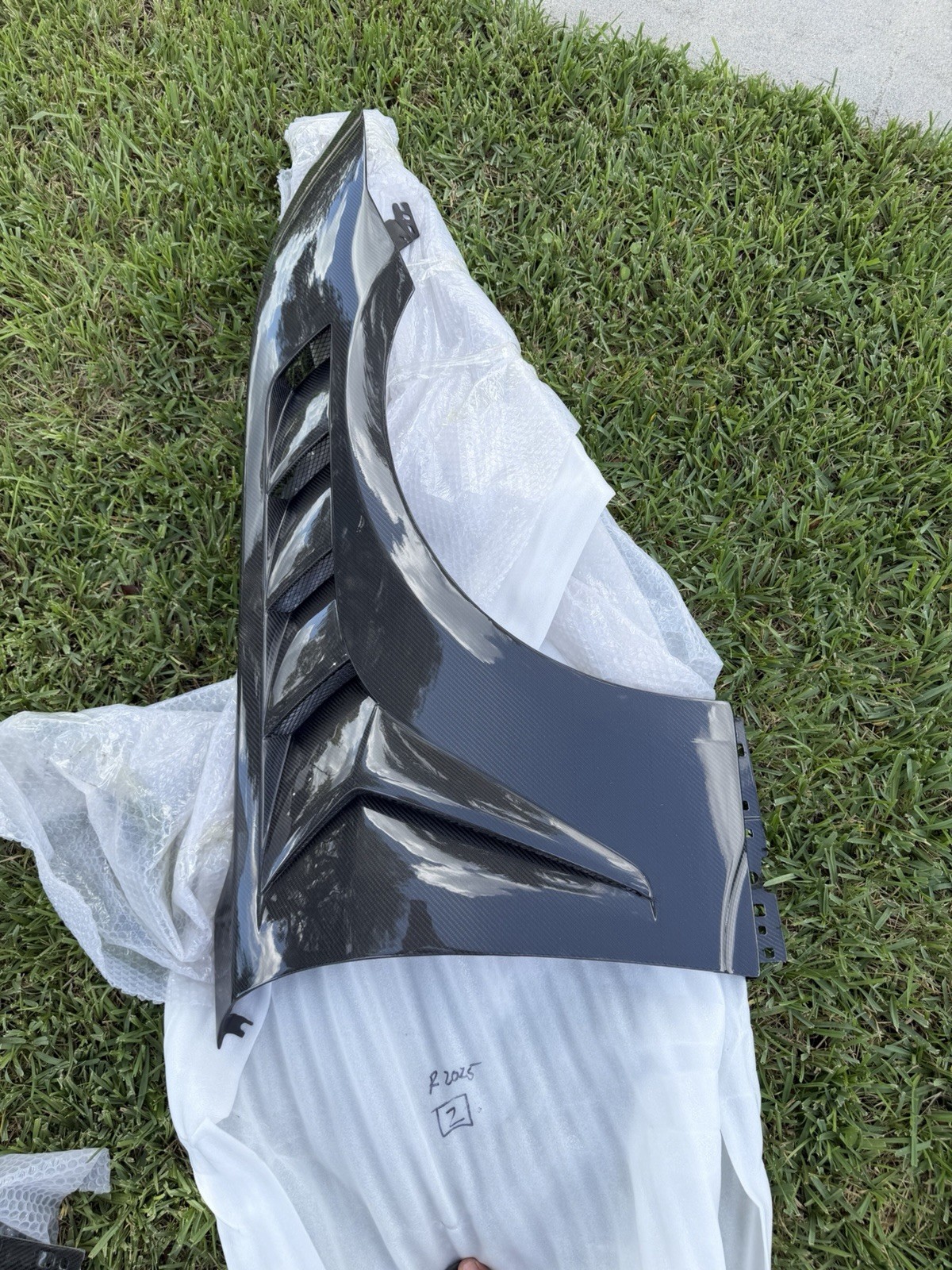 Mustang Carbon Fiber GTD Fenders