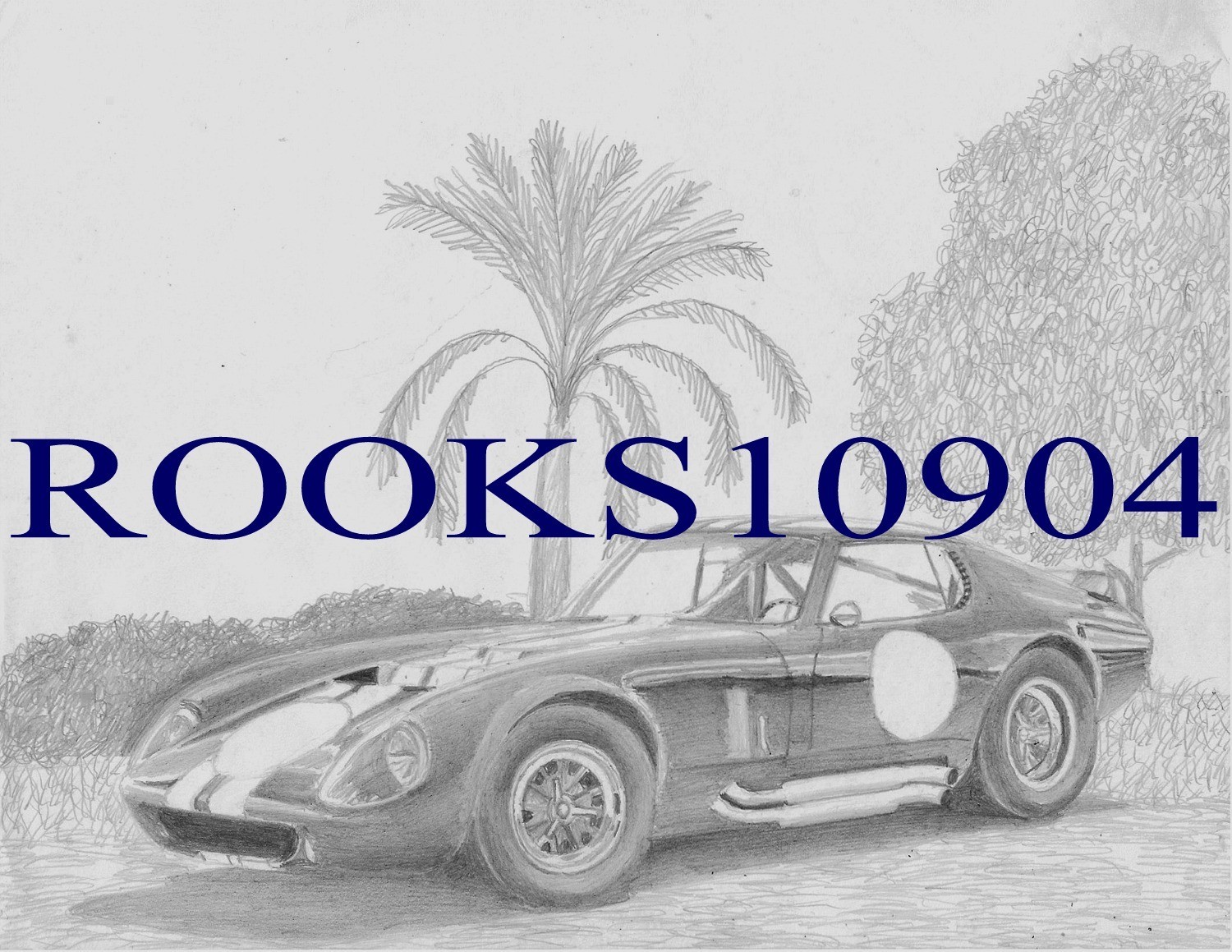 Shelby Cobra Daytona Coupe SPORTS CAR ART PRINT