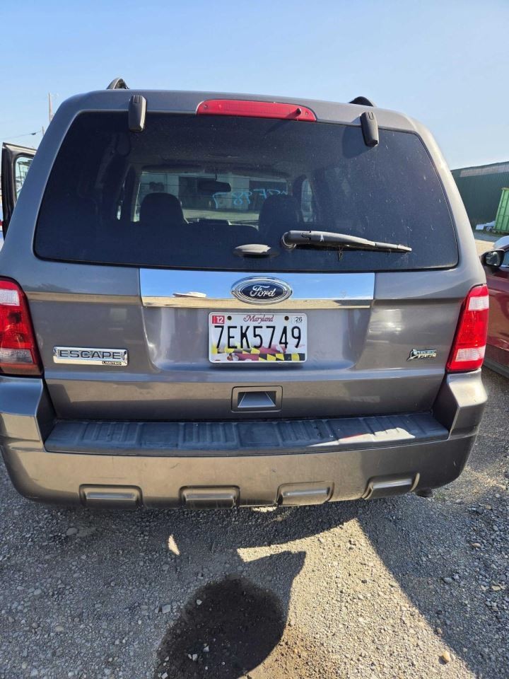 (LOCAL PICKUP ONLY) Trunk/Hatch/Tailgate Privacy Tint Glass Fits 10-12 ESCAPE 17