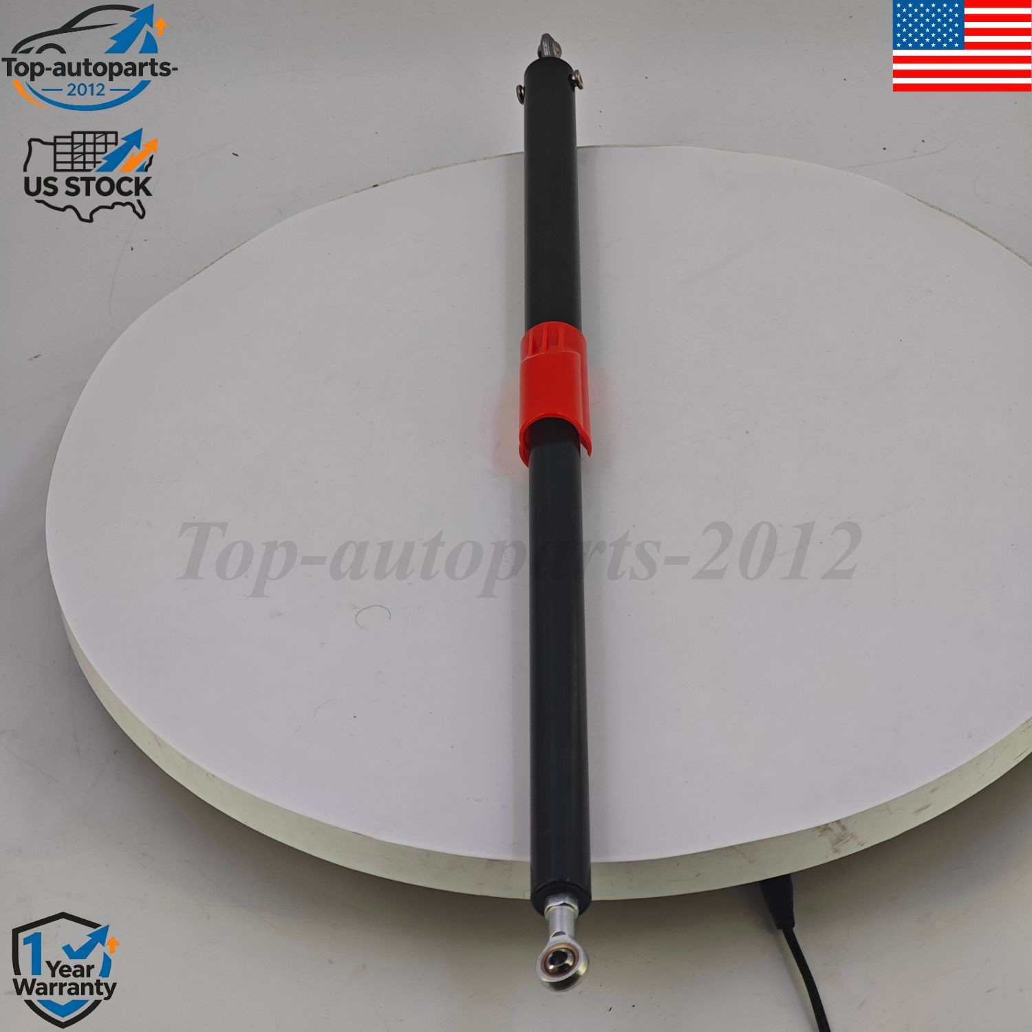 New For Peterbilt 579 587 A99619 Strut Hood Assist Paccar L71-6019 US STOCK