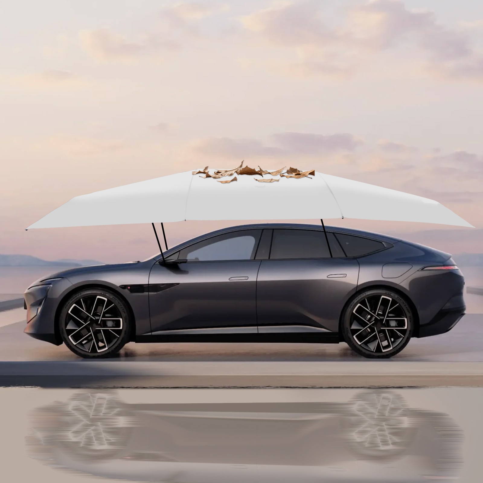 New Car Sun Shade Umbrella Cover Tent, Car Canopy Cover, Car Awning Cover US