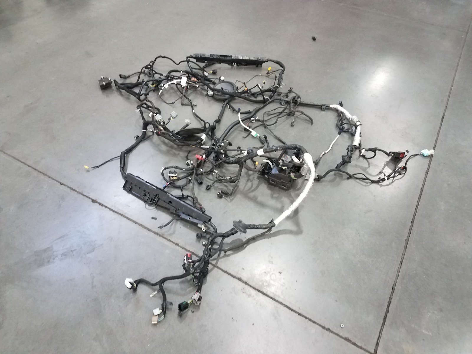 2018 Ford Mustang Shelby GT350R Chassis Wiring Harness - * #0117 A10
