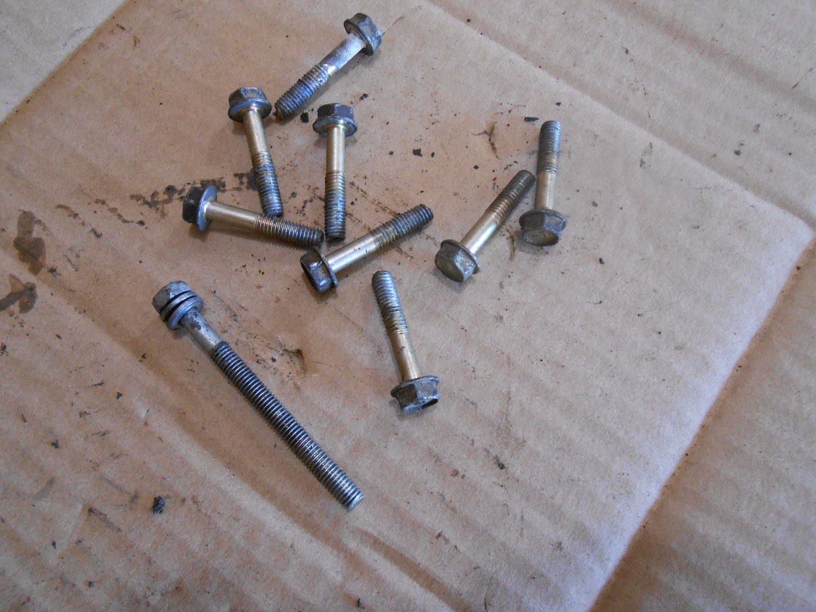 Polaris 300 Trail Boss 1995 95 recoil starter bolts mounting