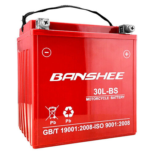 Banshee YTX30L-BS YIX30L-BS AGM Battery ForPowersports Atv/Utv & Harley Davidson