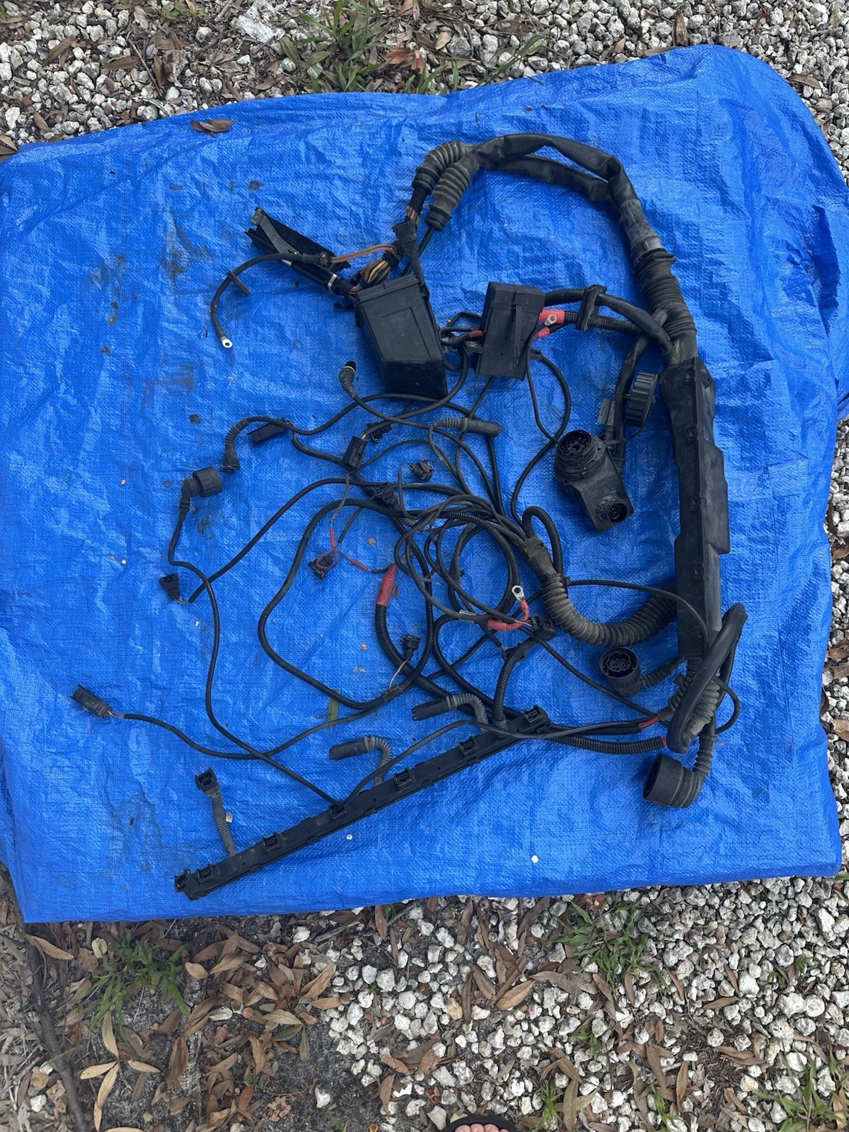 1998-2000 BMW Z3 S52 OEM Engine Wiring Harness 3.2L
