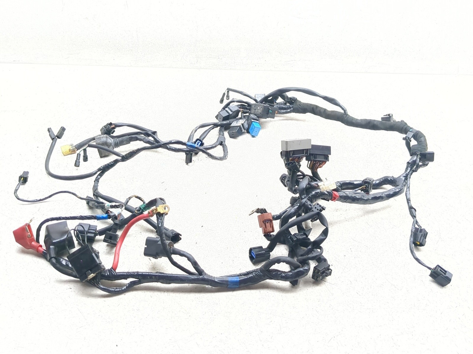 06-12 Triumph Daytona 675 Main Wiring Harness T2501650