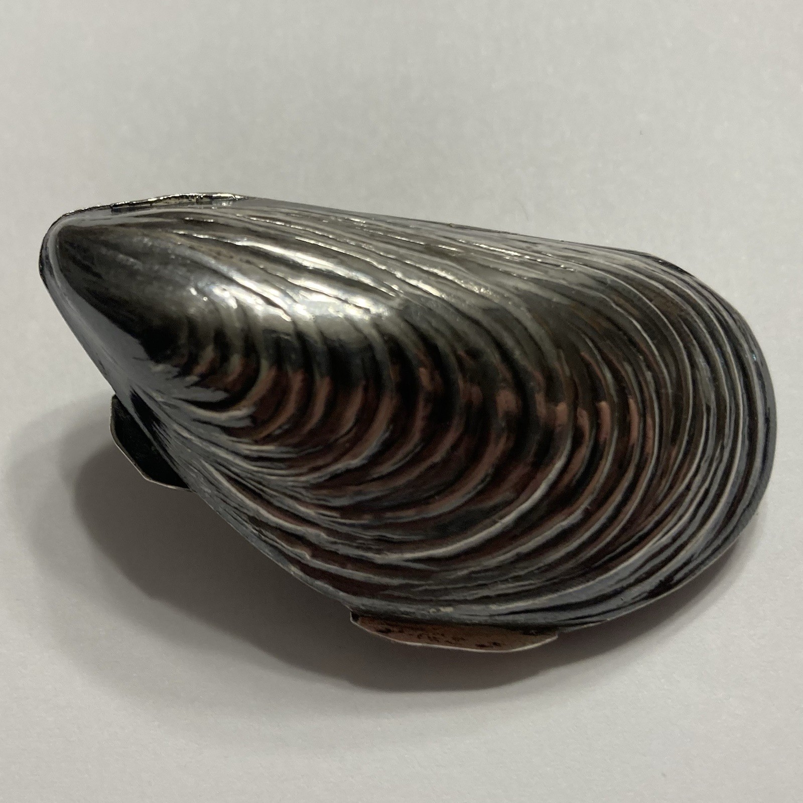 VINTAGE MUSSEL SHELL SHAPED PILL BOX STERLING SILVER ITALY 15 Gr 2” MIDCENTURY