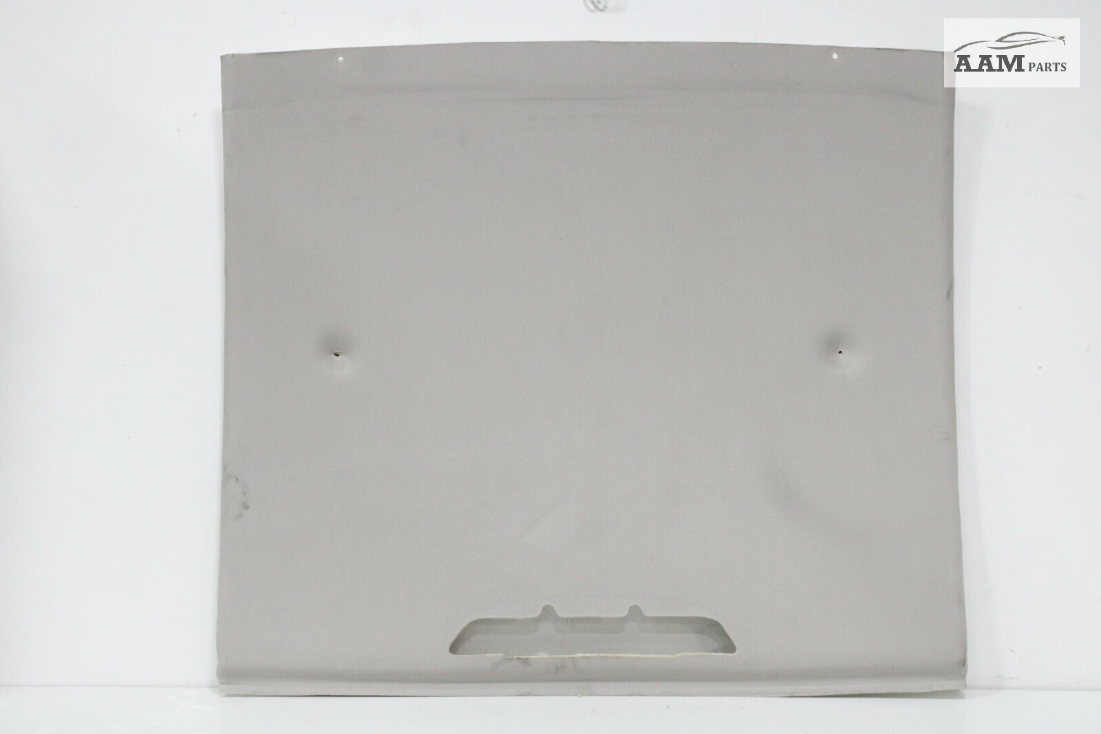 2018-2023 FREIGHTLINER CASCADIA UPPER HEADLINER COVER 18-69873-000 OEM