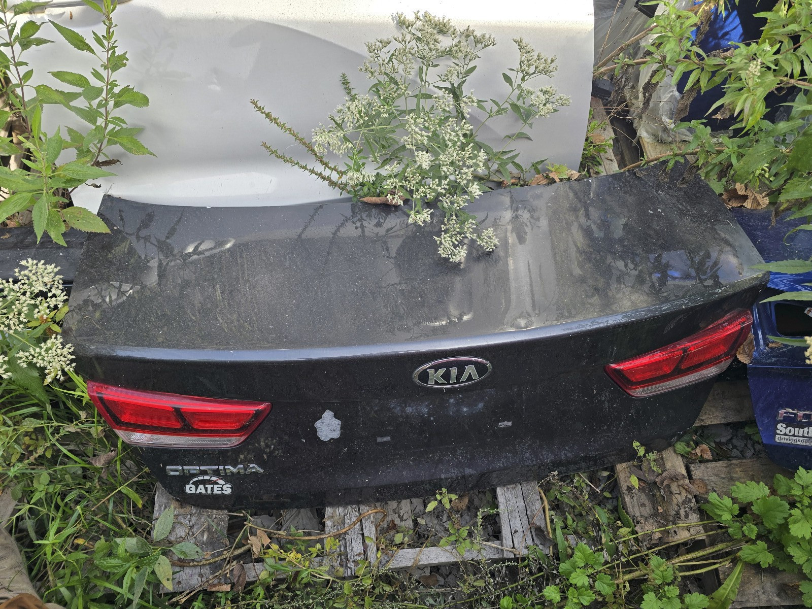 2016-2020 Kia Optima Rear Trunk Lid Decklid Tailgate Paint Code IM US Built