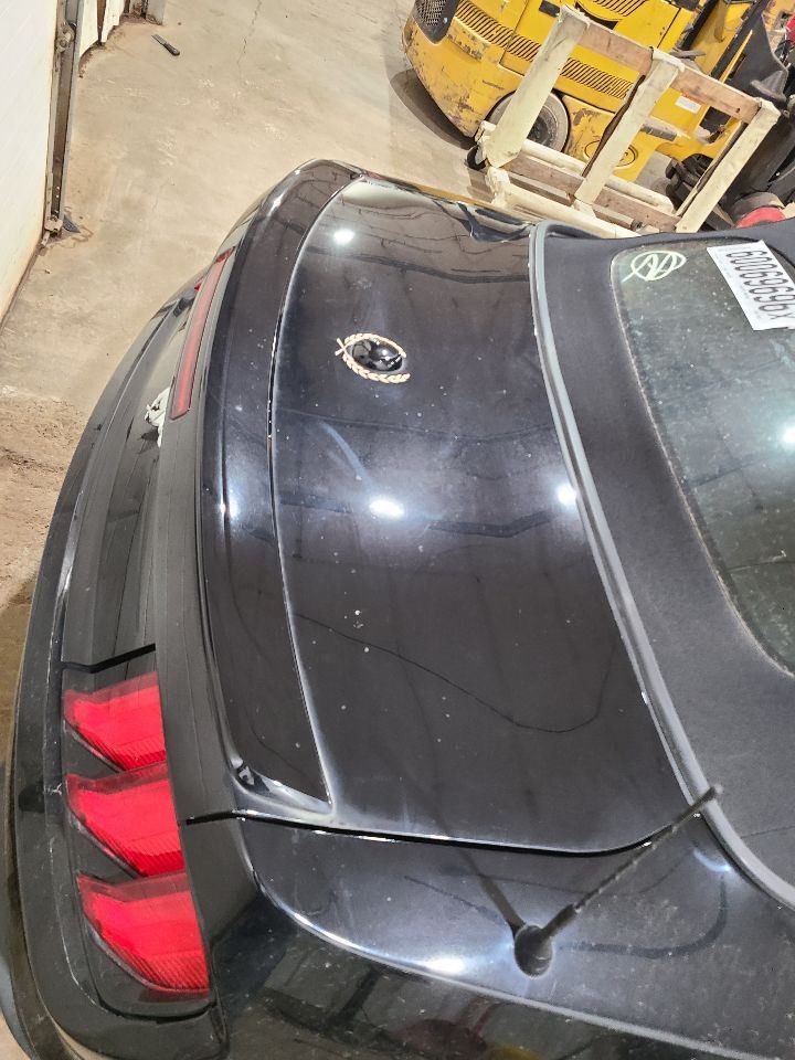 Trunk/Hatch/Tailgate Convertible With Spoiler Fits 15-23 MUSTANG 676881