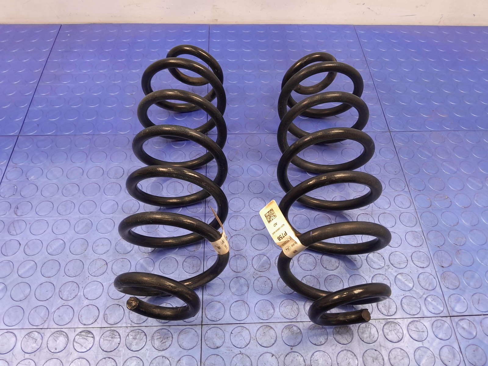 2022-2024 Ford Maverick FWD Rear Suspension Coil Springs Set of Two Genuine OEM
