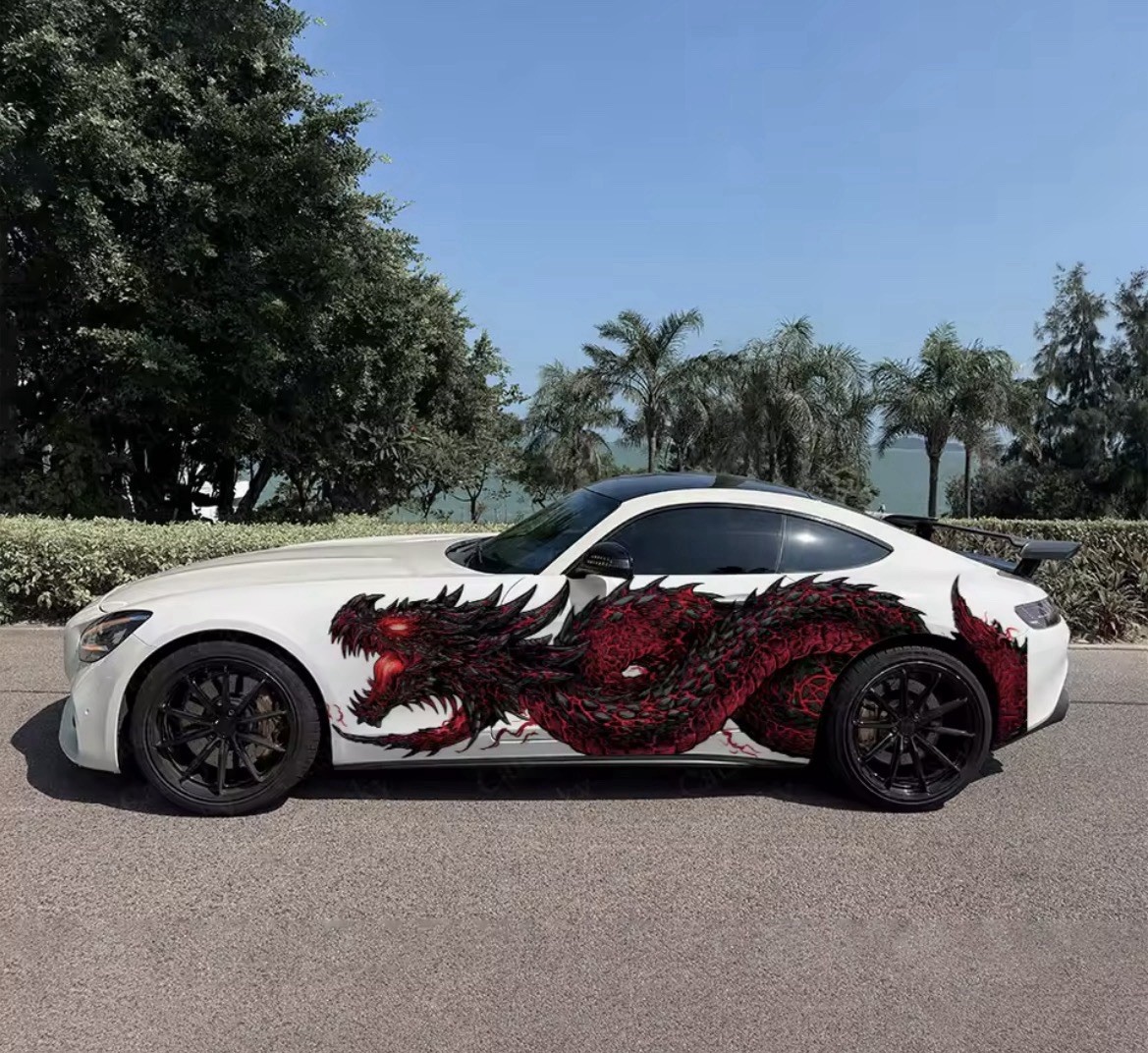 Dragon Flame Car Decals Both Sides Vinyl Custom Racing Livery 2ft x 6ft