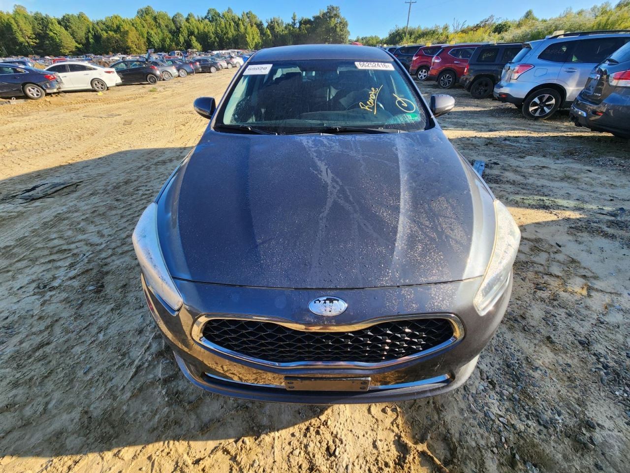 Hood Fits 14-16 CADENZA 3084028