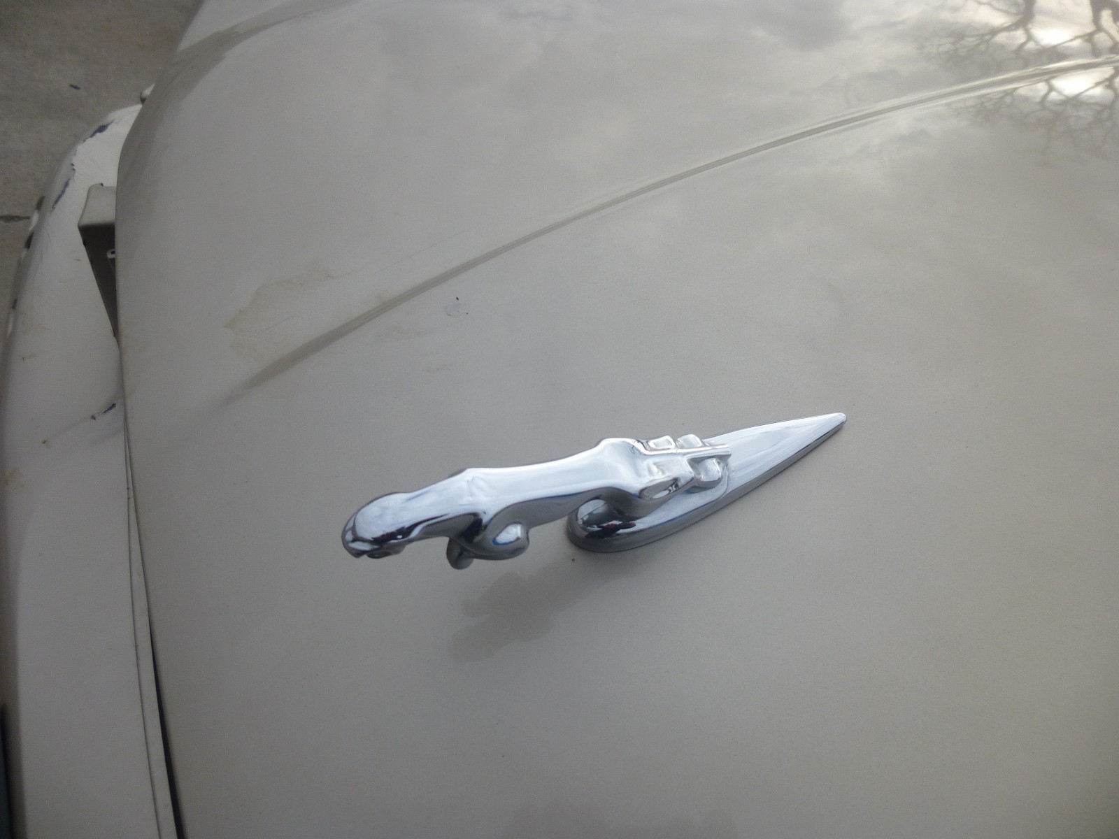 2004 2005 06 07 08 2009 JAGUAR XJ8 XJR SUPER V8 VANDEN PLAS HOOD EMBLEM