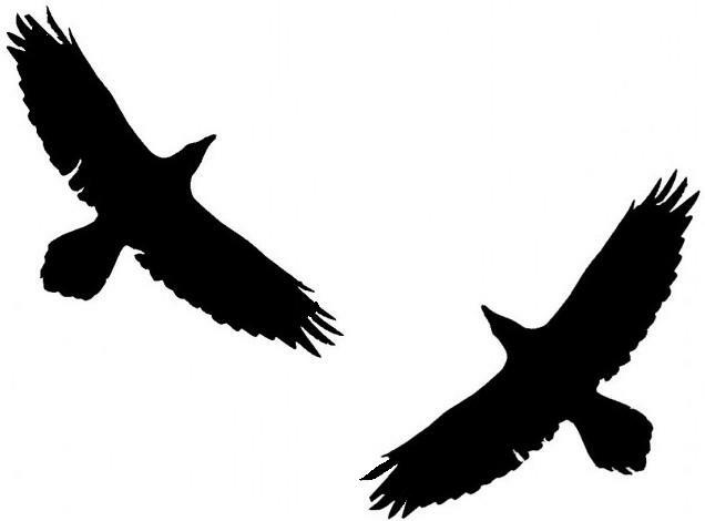 Viking Nordic Odins Ravens Huginn & Muninn die cut Vinyl car decal sticker