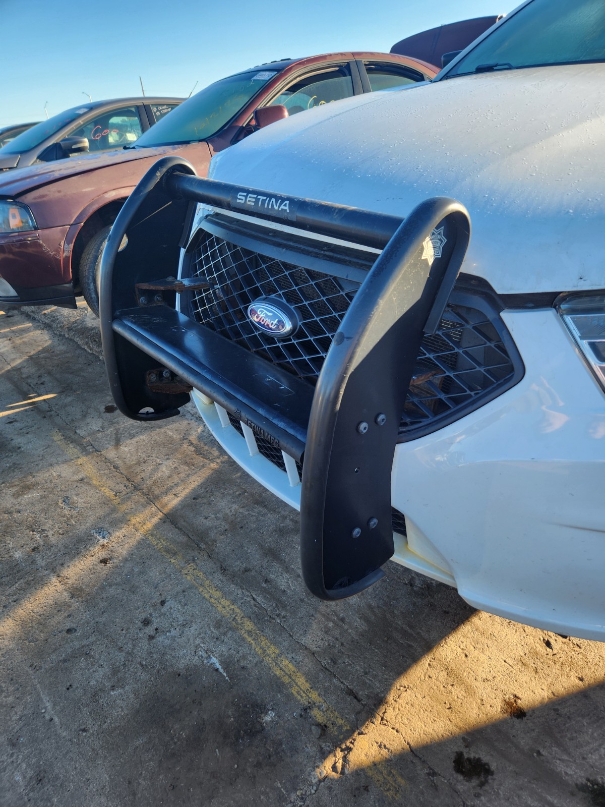 Setina Bodayguard 2013-2019 FORD TAURUS POLICE  ROAD DEFENDER PUSH BAR BUMPER