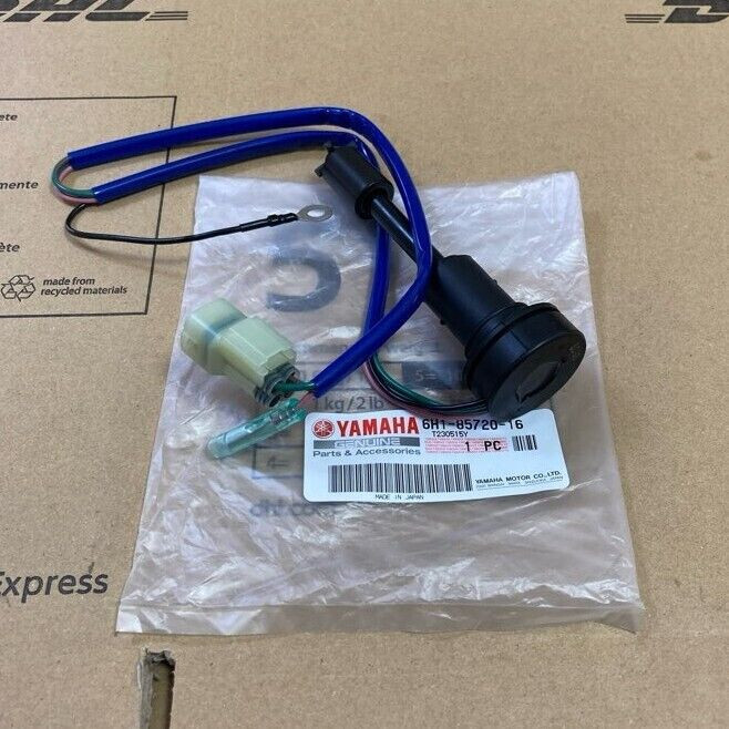 Yamaha Genuine OEM New Oil level gauge assy 6H1-85720-16-00 - Fast Shipping