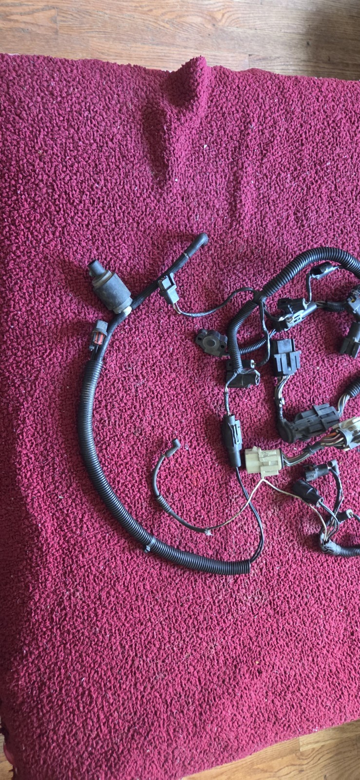 86-93 Mustang GT LX 5.0 Injector Wiring Harness.