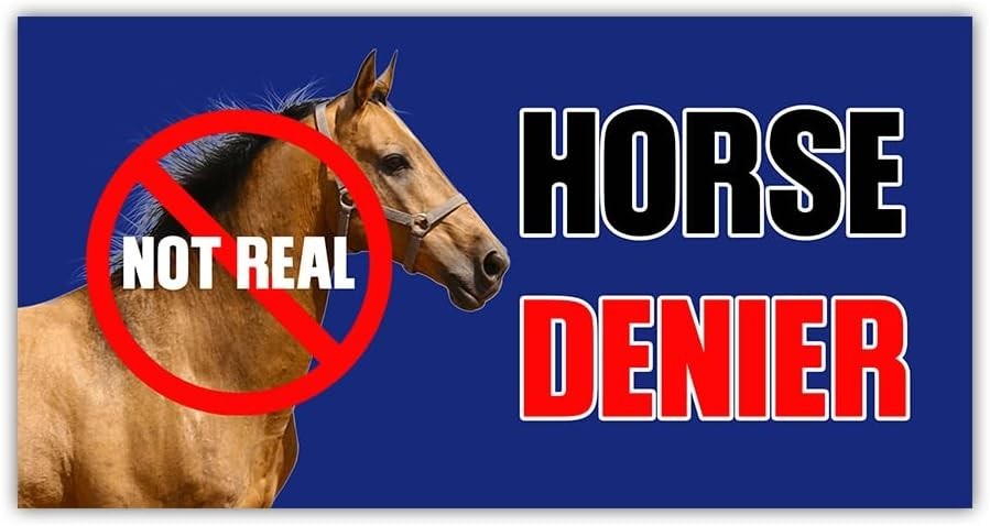 Horse Denier Adult Humor Truck Minivan Bumper Sticker Vinyl Soldier Decal 5\