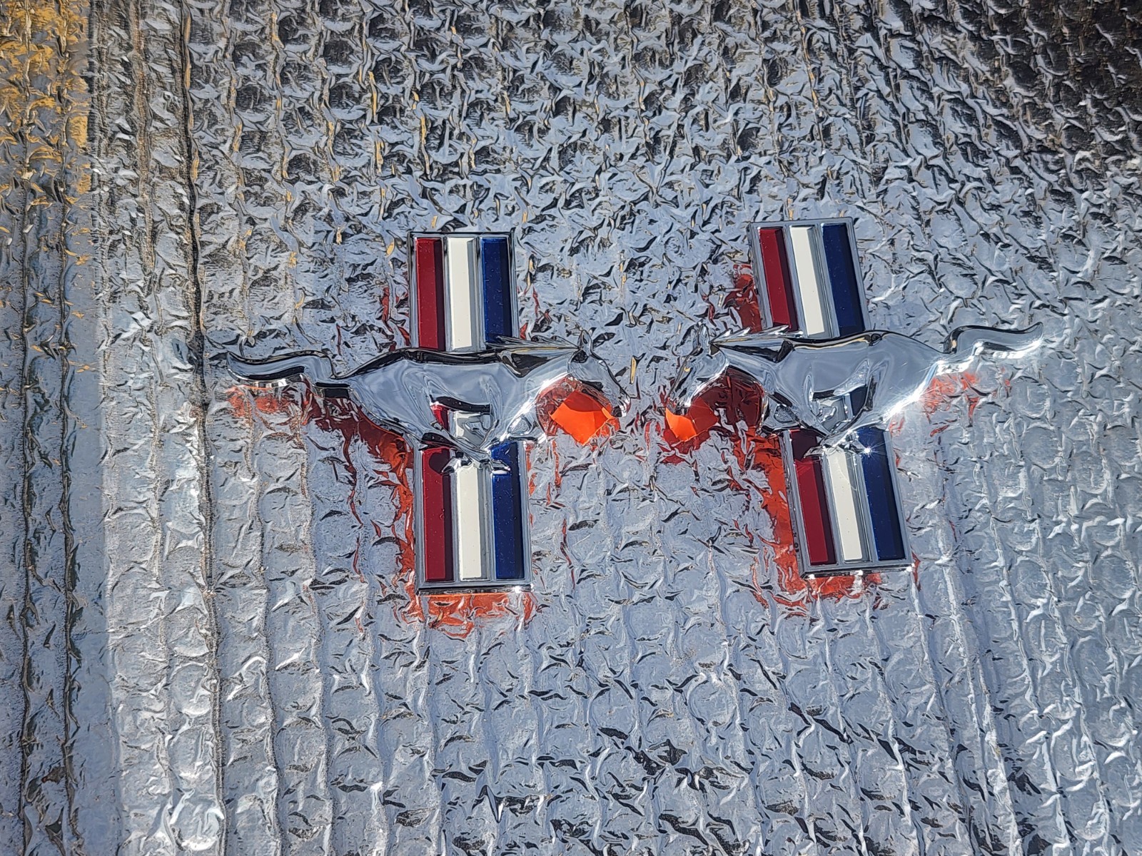 SALEEN MUSTANG fender Horse Emblems nos Never Used 1994-1998 S281 S351 REAL FORD SALEEN MUSTANG fender Horse Emblems nos Never Used 1994-1998 S281 S351 REAL FORD