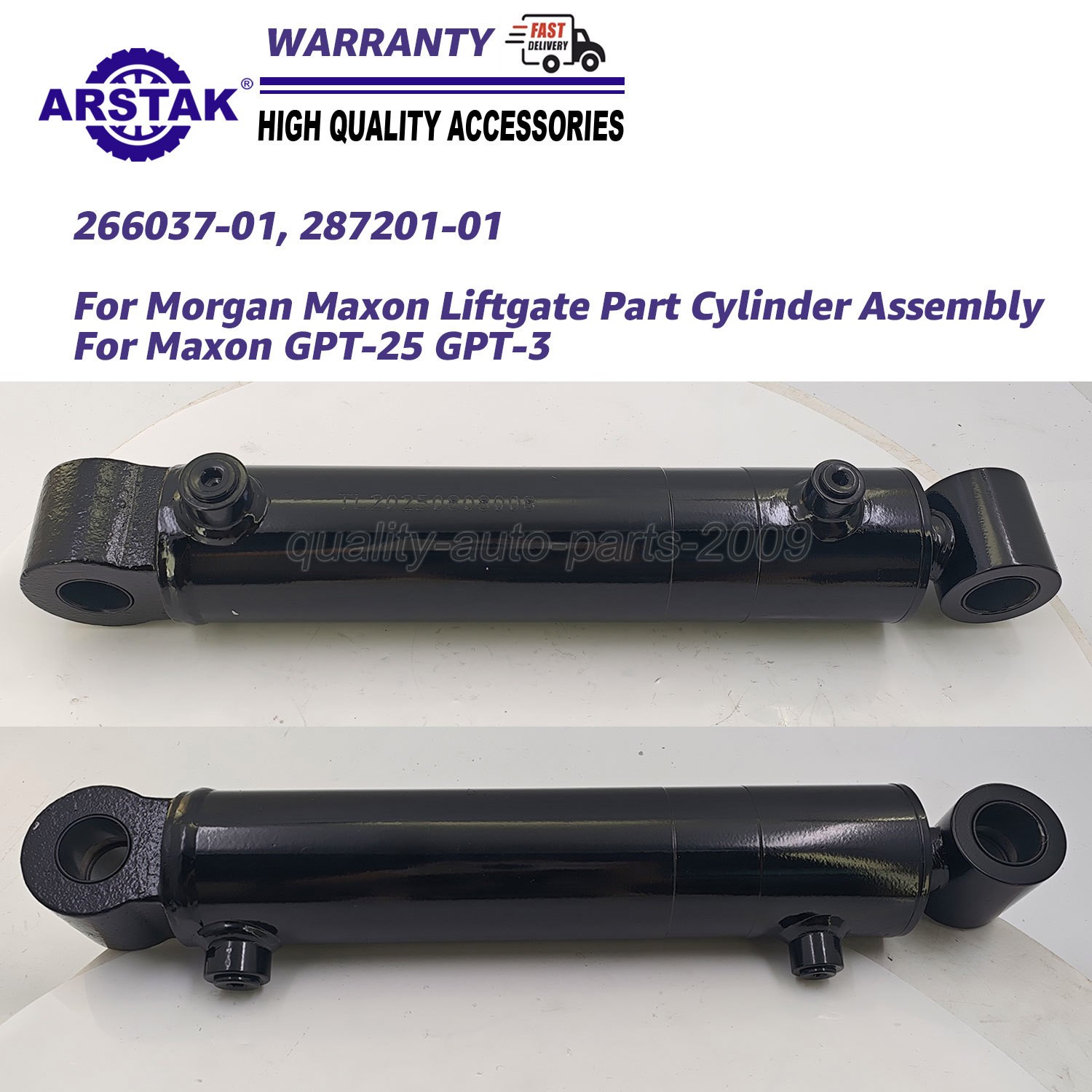 26603701 Cylinder Assembly For Morgan Maxon GPT-25 GPT-3 Liftgate 287201-01 2PCS 26603701 Cylinder Assembly For Morgan Maxon GPT-25 GPT-3 Liftgate 287201-01 2PCS