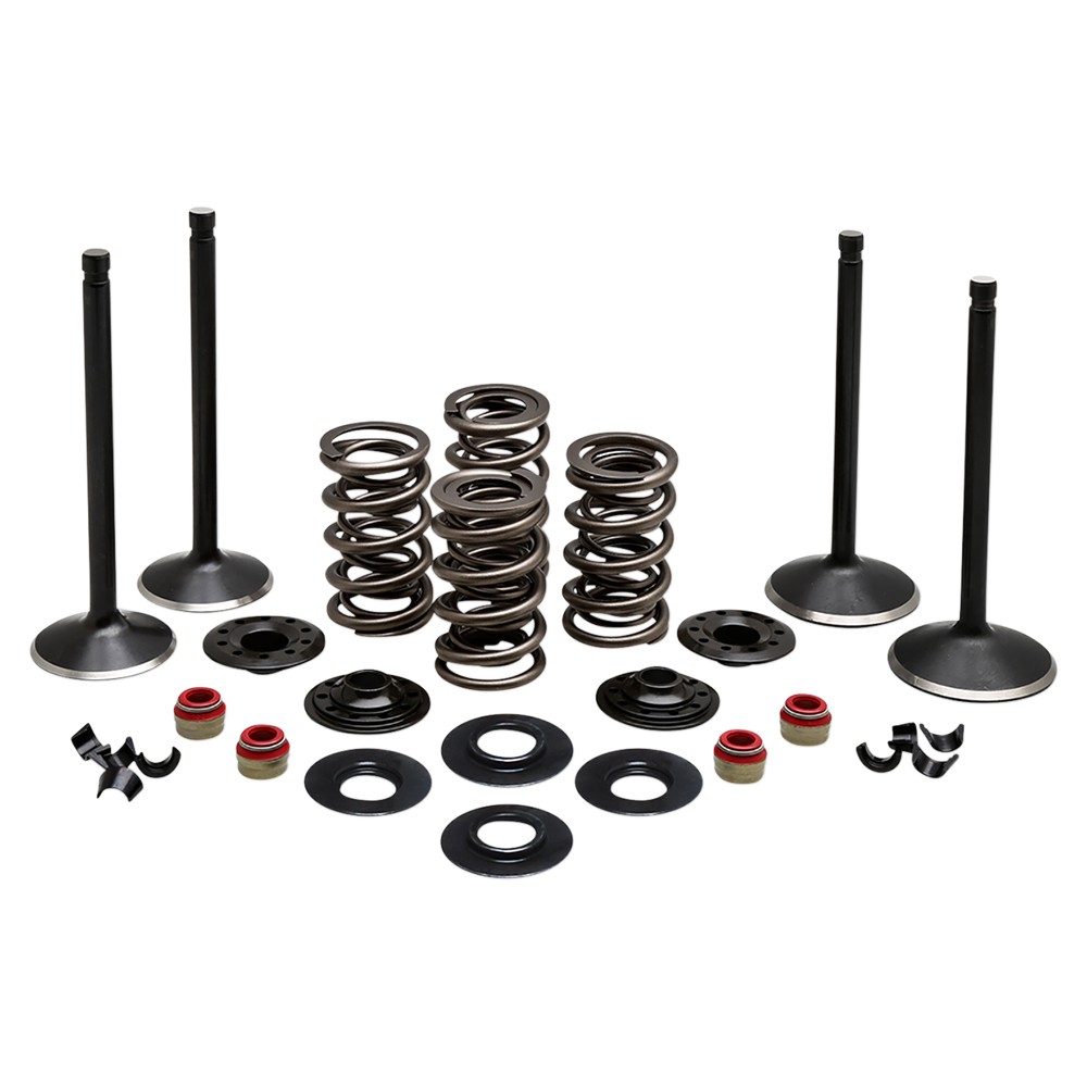 Kibblewhite Precision Engine Valve Kit - 20-22650
