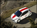 2006 Peugeot 207 RCup Concept